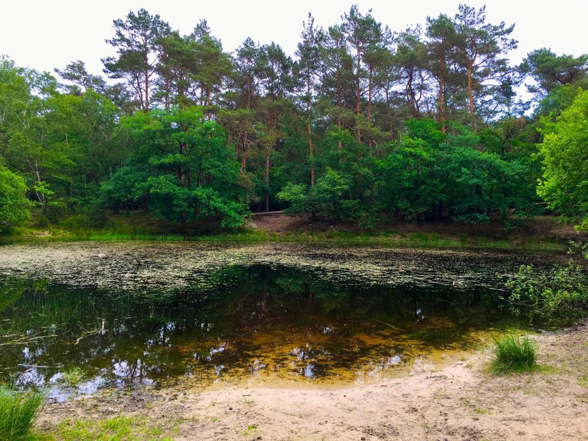 Rode Bosuil: Thuiskomen Op De Veluwe! Otterlo Exterior foto